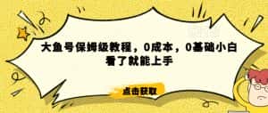 怎么样靠阿里大厂撸金，背靠大厂日入2000+，大鱼号保姆级教程，0成本，0基础小白看了就能上手-优优云创