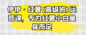 伊伊·红薯【高级班】运营课，专为红薯小白量身而定-优优云创网