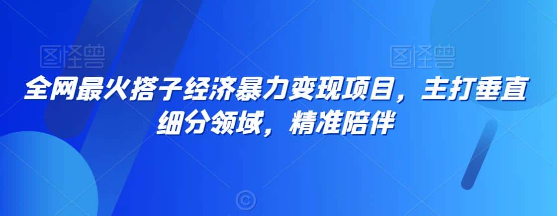 全网最火搭子经济暴力变现项目，主打垂直细分领域，精准陪伴-优优云创网