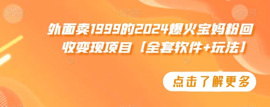 外面卖1999的2024爆火宝妈粉回收变现项目【全套软件+玩法】-优优云创网