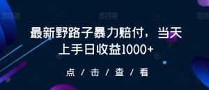 最新野路子暴力赔付，当天上手日收益1000+【仅揭秘】-优优云创网
