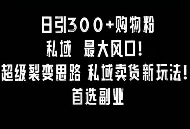日引300+购物粉，超级裂变思路，私域卖货新玩法，小红书首选副业-优优云创网