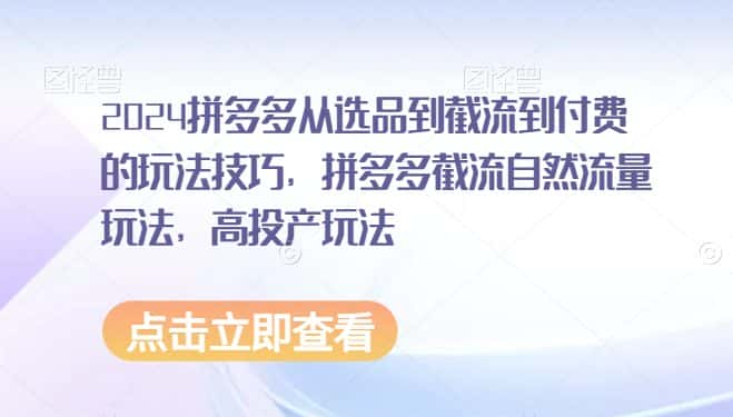 2024拼多多从选品到截流到付费的玩法技巧，拼多多截流自然流量玩法，高投产玩法-优优云创网