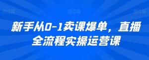 新手从0-1卖课爆单，直播全流程实操运营课-副业吧