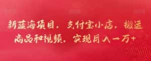 新蓝海项目，支付宝小店，搬运商品和视频，实现月入一万+-优优云创