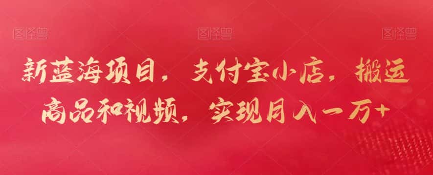 新蓝海项目，支付宝小店，搬运商品和视频，实现月入一万+-优优云创网