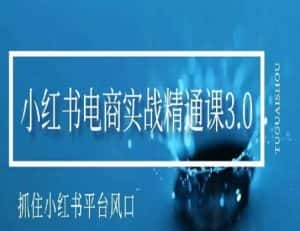 小红书电商实战精通课3.0，抓住小红书平台的风口，不错过有一个赚钱的机会-优优云创网