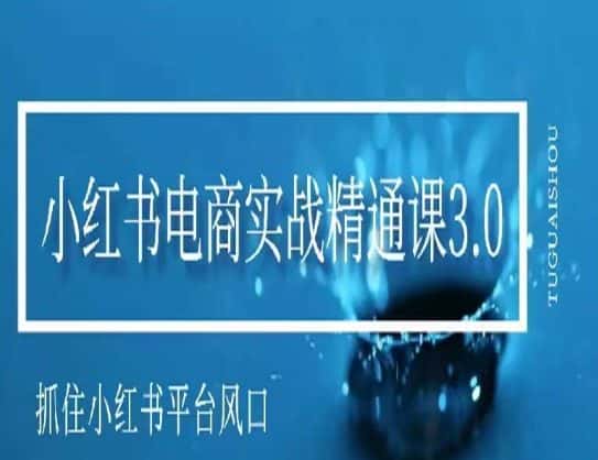 小红书电商实战精通课3.0，抓住小红书平台的风口，不错过有一个赚钱的机会-优优云创网