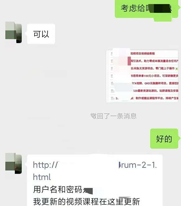 图片[1]-小彬网虚拟资源网站培训课程，如何一个月快速做出盈利的资源网站（实打实经验）-优优云创网