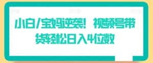 小白/宝妈逆袭！视频号带货轻松日入4位数-优优云创网