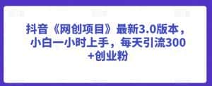 抖音《网创项目》最新3.0版本，小白一小时上手，每天引流300+创业粉-优优云创网