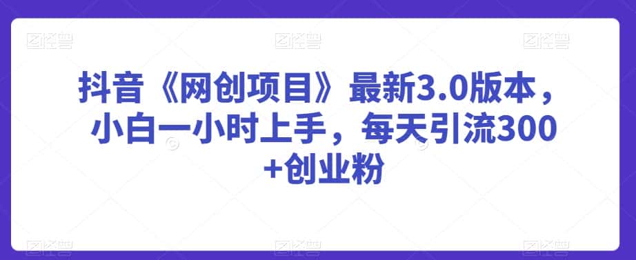 抖音《网创项目》最新3.0版本，小白一小时上手，每天引流300+创业粉-优优云创网