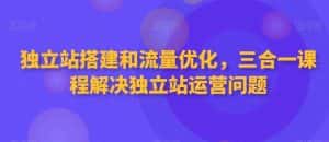 独立站搭建和流量优化，三合一课程解决独立站运营问题-优优云创网