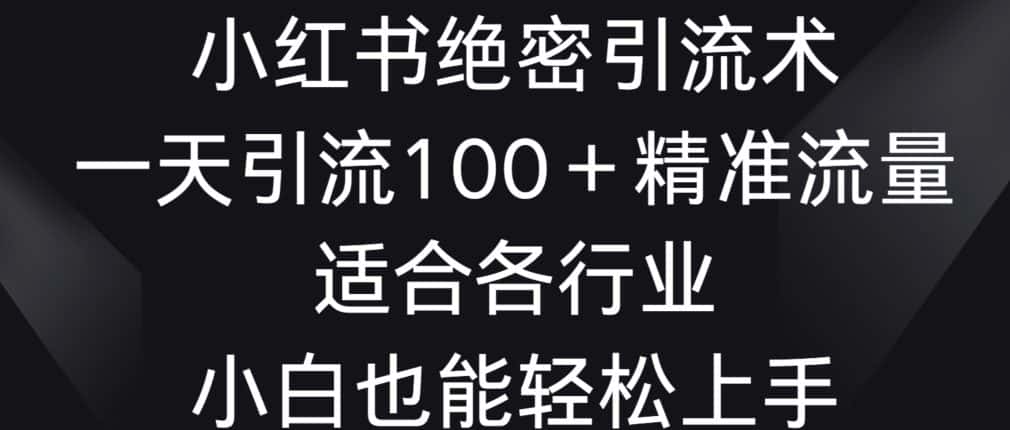 小红书绝密引流术，一天引流100+精准流量，适合各个行业，小白也能轻松上手-优优云创网