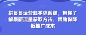 拼多多运营必学体系课，带你了解最新流量获取方法、帮助你降低推广成本-优优云创
