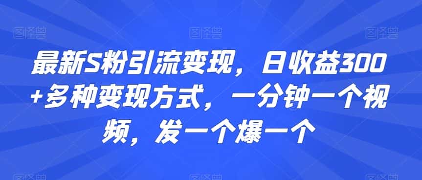 最新S粉引流变现，日收益300+多种变现方式，一分钟一个视频，发一个爆一个-优优云创网