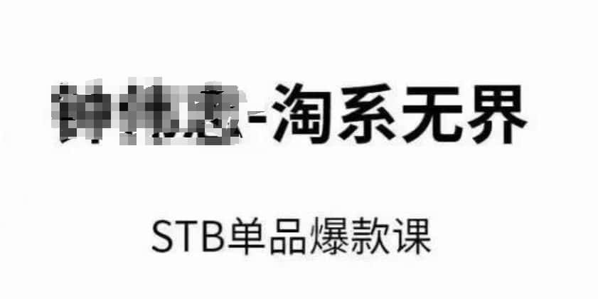 淘系无界STB单品爆款课（2024），付费带动免费的核心逻辑，万相台无界关键词推广/精准人群的核心-优优云创网