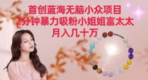 首创蓝海无脑小众项目，2分钟暴力吸粉小姐姐富太太，月入几十万-优优云创网