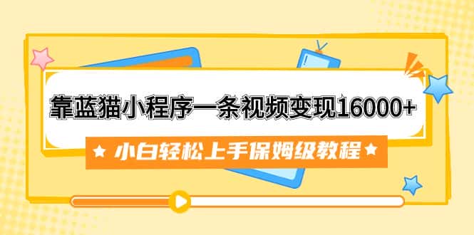（7595期）靠蓝猫小程序一条视频变现16000+小白轻松上手保姆级教程（附166G资料素材）-优优云创网