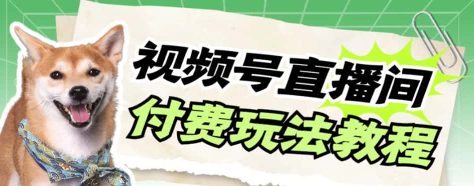 （7660期）视频号美女付费无人直播，轻松日入500+【详细玩法教程】-优优云创网