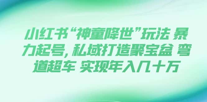 （7673期）小红书“神童降世”玩法 暴力起号,私域打造聚宝盆 弯道超车 实现年入几十万-优优云创网