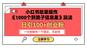 (7676期)小红书批量操作《1000个野路子信息差》玩法 日引100+创业粉 一分钟一个图文-副业吧