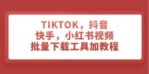（7714期）TIKTOK，抖音，快手，小红书视频批量下载工具加教程-优优云创网