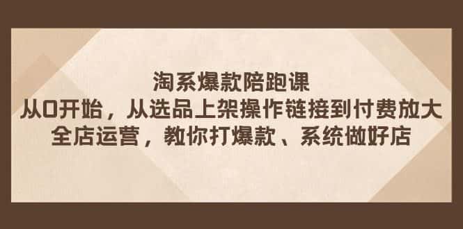 （7725期）淘系爆款陪跑课 从选品上架操作链接到付费放大 全店运营 打爆款 系统做好店-优优云创网