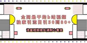 （7858期）全网最干的b站视频独家引流日引50到80+流量视频很长请耐心看完-优优云创网