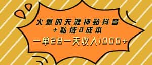 （7869期）火爆的天涯神贴抖音+私域0成本一单28一天收入1000+-优优云创网