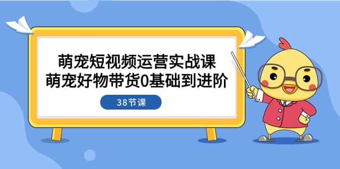 （7915期）萌宠·短视频运营实战课：萌宠好物带货0基础到进阶（38节课）-优优云创网
