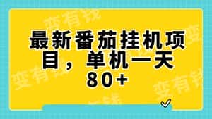 （7918期）最新番茄小说挂机，单机一天80+可批量操作!-优优云创网