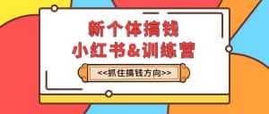 （7937期）新个体·搞钱-小红书训练营：实战落地运营方法，抓住搞钱方向，每月多搞2w+-优优云创网