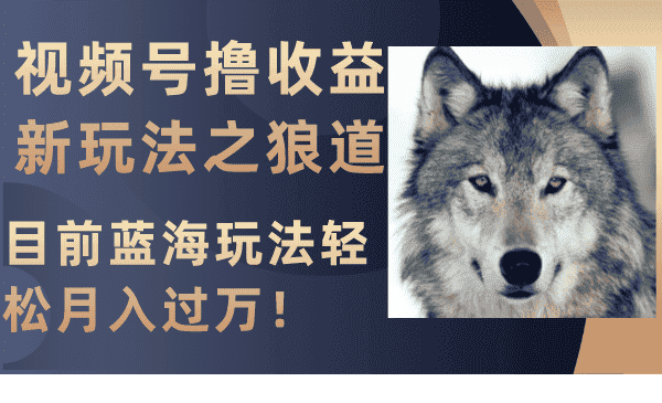 （8042期）视频号撸收益新玩法之狼道，目前蓝海玩法轻松月入过万！-优优云创网