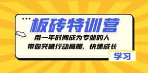 （8048期）板砖特训营，用一年时间成为专业的人，带你突破行动局限，快速成长-优优云创网