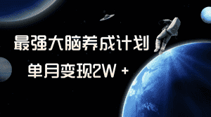 （8078期）冷门虚拟项目，最强大脑养成计划，一个月变现2W＋-优优云创