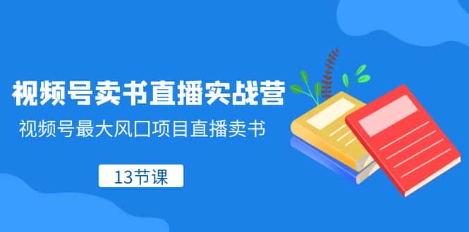 （8080期）视频号-卖书直播实战营，视频号最大风囗项目直播卖书（13节课）-优优云创网