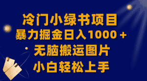 （8101期）【全网首发】冷门小绿书暴力掘金日入1000＋，无脑搬运图片小白轻松上手-优优云创网