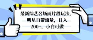 （8114期）最新综艺名场面片段玩法，明星自带流量，日入200+，小白可做-优优云创网