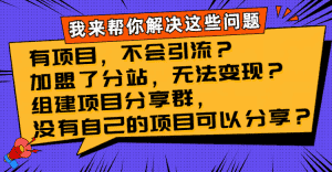 （8147期）有项目，不会引流？加盟了分站，无法变现？组建项目分享群，没有自己的…-优优云创网