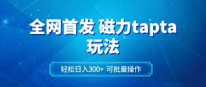 （8166期）全网首发磁力toptop玩法 轻松日入300+-副业吧