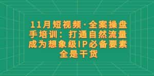 （8182期）11月短视频·全案操盘手培训：打通自然流量 成为想象级IP必备要素 全是干货-优优云创网