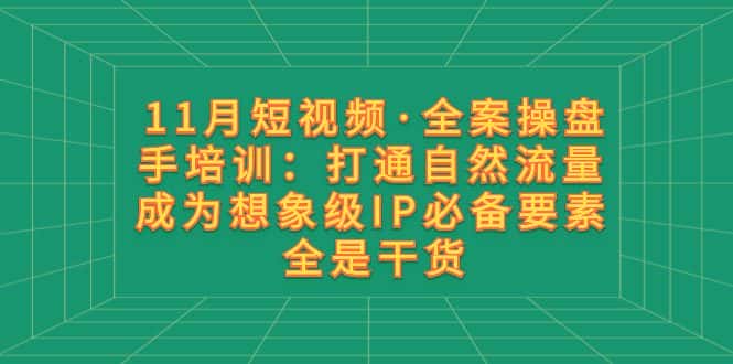（8182期）11月短视频·全案操盘手培训：打通自然流量 成为想象级IP必备要素 全是干货-优优云创网
