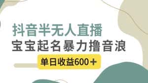 （8192期）抖音半无人直播，宝宝起名，暴力撸音浪，单日收益600+-优优云创网
