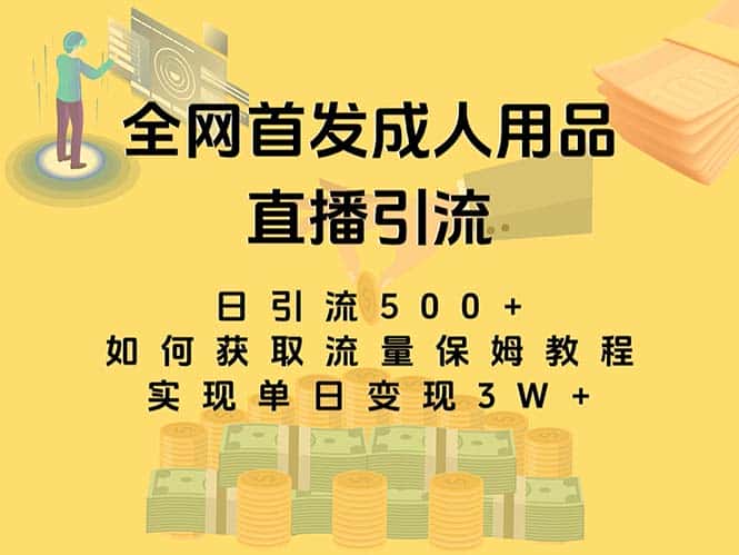 （8193期）最新全网独创首发，成人用品直播引流获客暴力玩法，单日变现3w保姆级教程-副业吧