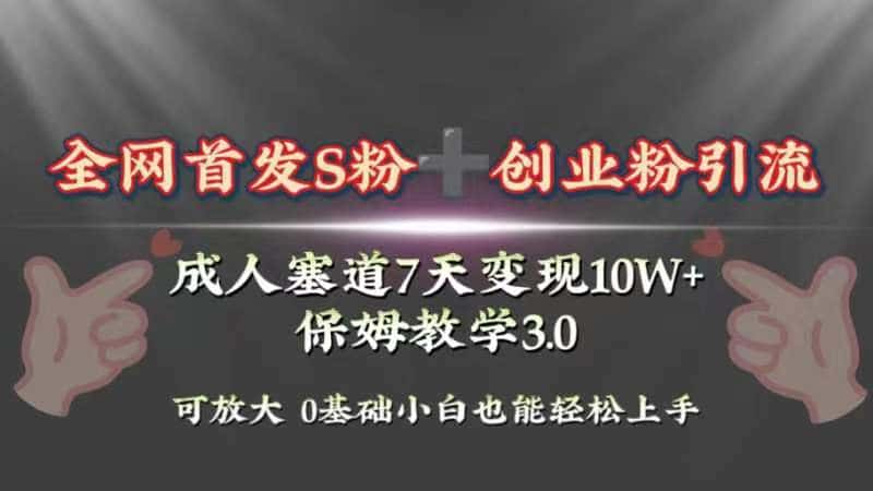 （8337期）全网首发s粉加创业粉引流变现，成人用品赛道7天变现10w+保姆教学3.0-优优云创网