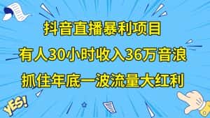 (8388期)抖音直播暴利项目,有人30小时收入36万音浪,公司宣传片年会视频制作,…-优优云创网