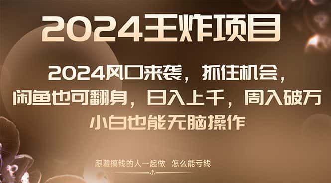 （8401期）2024风口项目来袭，抓住机会，闲鱼也可翻身，日入上千，周入破万，小白…-优优云创网