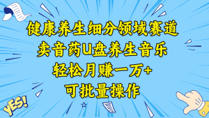 （8503期）健康养生细分领域赛道，卖音药U盘养生音乐，轻松月赚一万+，可批量操作-优优云创网