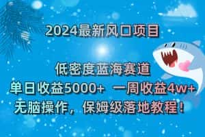 （8545期）2024最新风口项目 低密度蓝海赛道，日收益5000+周收益4w+ 无脑操作，保…-优优云创网